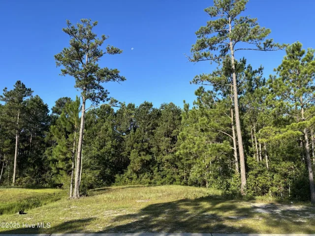 957 62 Ashburton Road SE, Bolivia, NC 28422