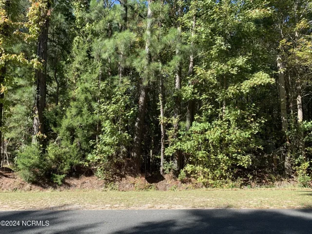 Lot G G Tobes Road, Bolivia, NC 28422