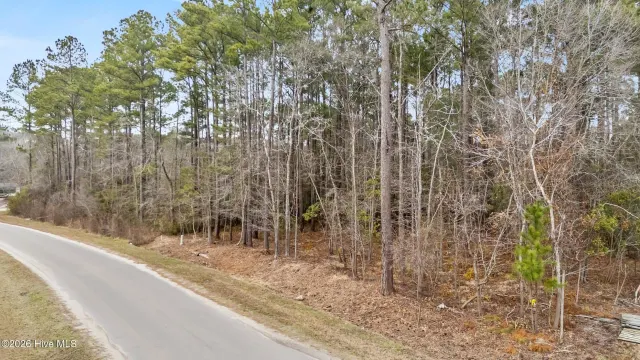 Lot 4 4 Copperhead Lane, Burgaw, NC 28425