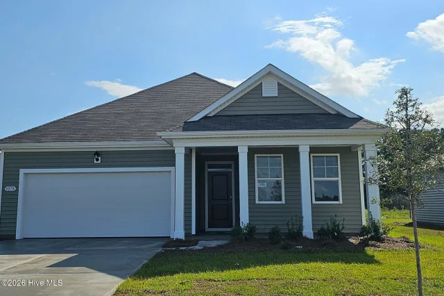1058 Pampas Grass Drive Lot 336, Castle Hayne, NC 28429
