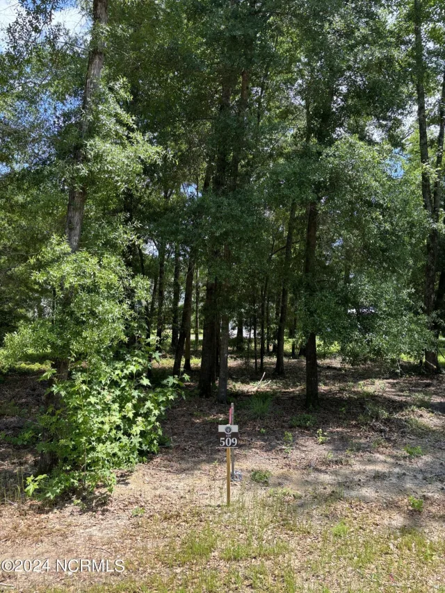 3718 509 Barnesmore Drive, Castle Hayne, NC 28429
