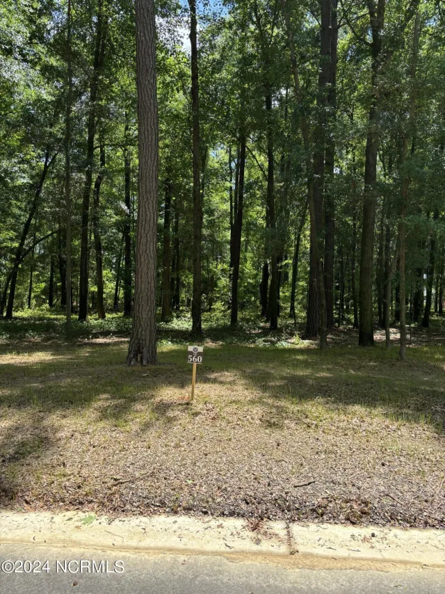 410 560 Old Forest Drive, Castle Hayne, NC 28429