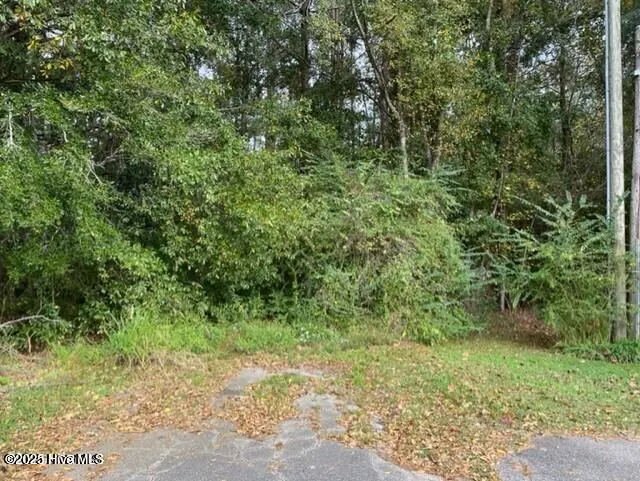 0 Near 715 E 1st Avenue, Chadbourn, NC 28431