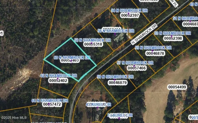 60 N Shamrock Drive, Jackson Springs, NC 27281