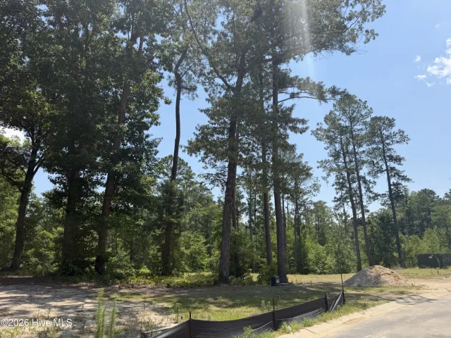 3864 560R River Park Way NE, Leland, NC 28451