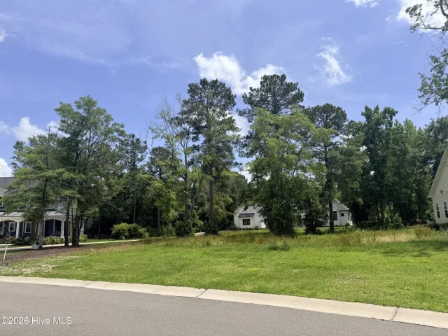 9213 463 Fallen Pear Lane NE, Leland, NC 28451