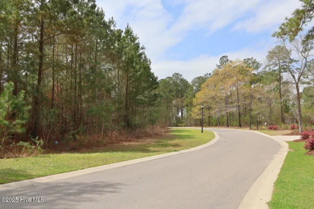 9319 250 Fallen Pear Lane NE, Leland, NC 28451