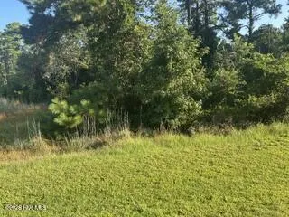1616 144 Caracara Drive, New Bern, NC 28560