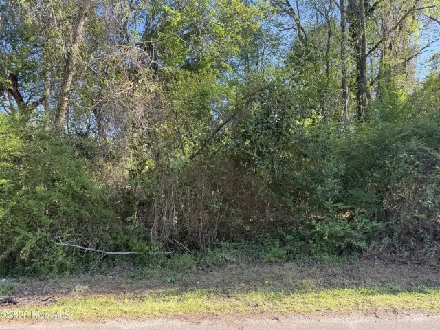 2509 787 New Bern Avenue, New Bern, NC 28560