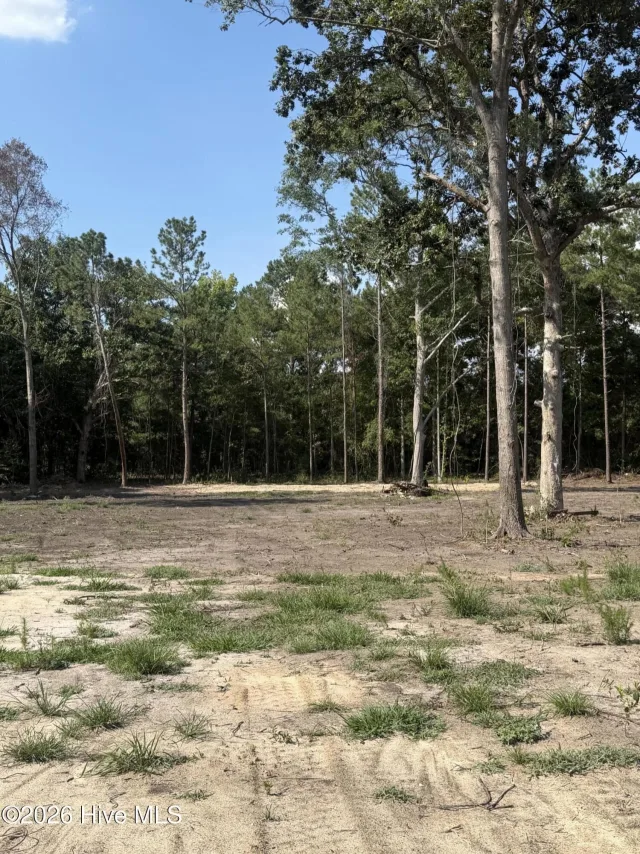 4402 L-B-2 Smith Trail NE, Northwest, NC 28451