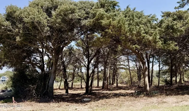 Lot 9 L-9 W Pelican Drive, Oak Island, NC 28465