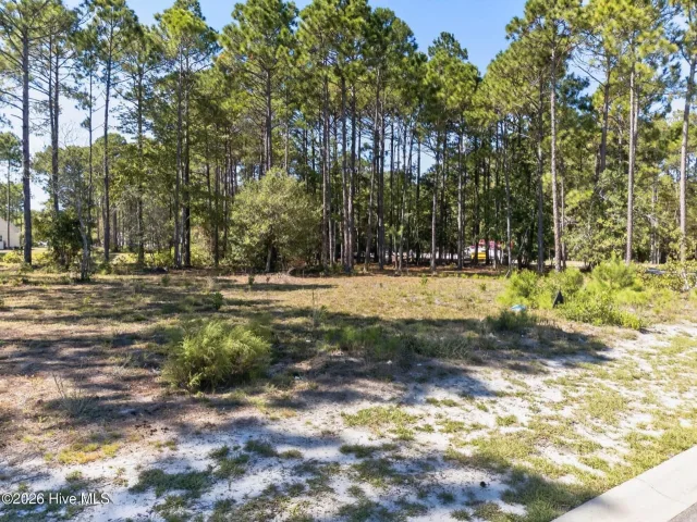 6783 152 Holton Place SW, Ocean Isle Beach, NC 28469