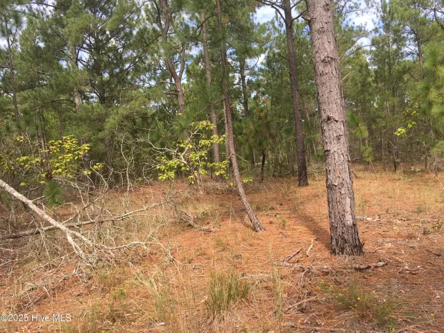 Tbd Plank Road, Robbins, NC 27325