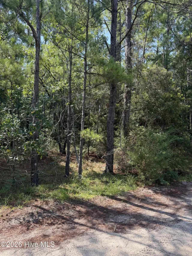 2861 l-189 Robin Drive SW, Shallotte, NC 28470