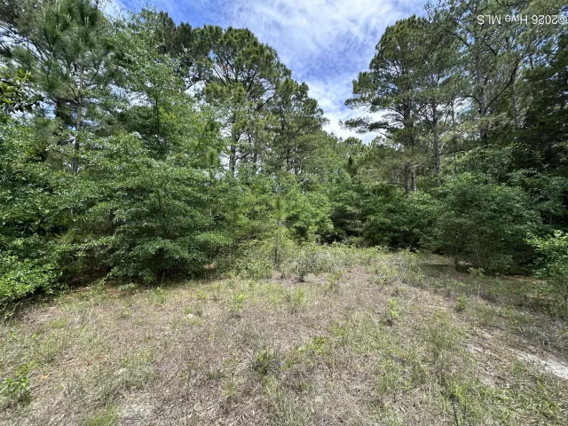 4781 29 Longview Drive SE, Southport, NC 28461