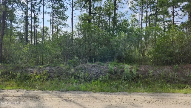 Lot 453 453 Queens Road, Southport, NC 28461