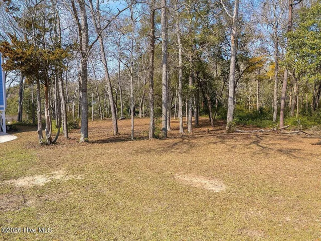 2021 552 Healing Water Lane SW, Supply, NC 28462