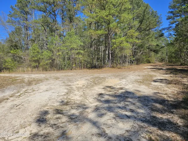 353 418 Indian Pipe Lane, Vass, NC 28394