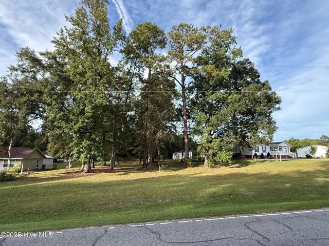 Lot #1 1 Prison Camp Road, Whiteville, NC 28472