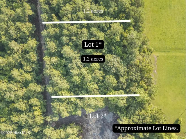 0 Us Hwy 117 N Lot 1, Willard, NC 28478