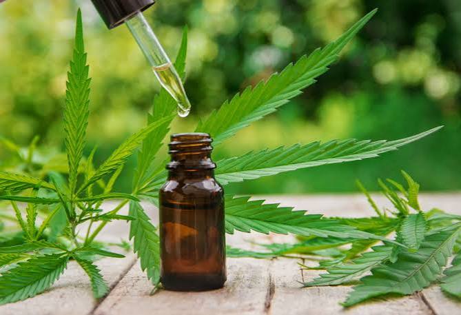 THC/CBD 1:1 Tincture (Water Soluble)