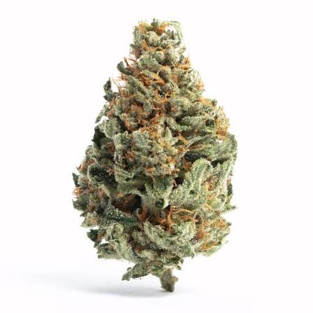 Cali G