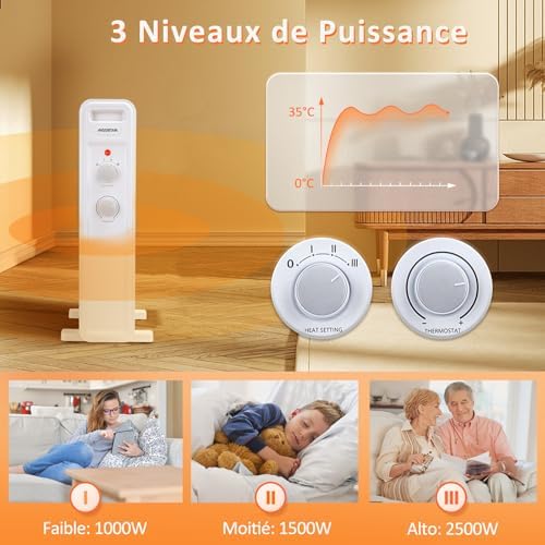 Vue 2 de Radiateur Bain Dhuile