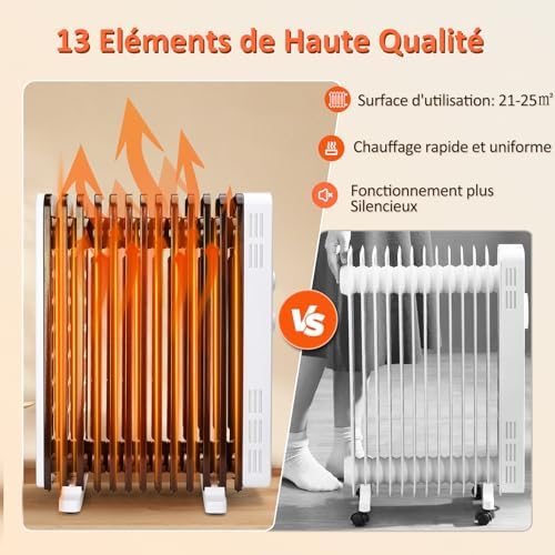 Vue 3 de Radiateur Bain Dhuile