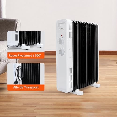 Vue 6 de Radiateur Bain Dhuile