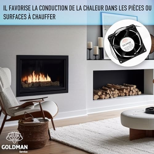 Vue 6 de Goldman Service Ventilateur Ventilateur
