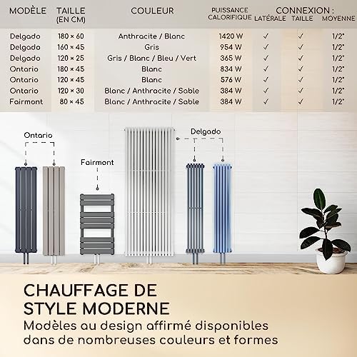 Vue 7 de Besoa Delgado Radiateur