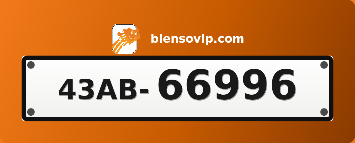Biển số 43AB-66996