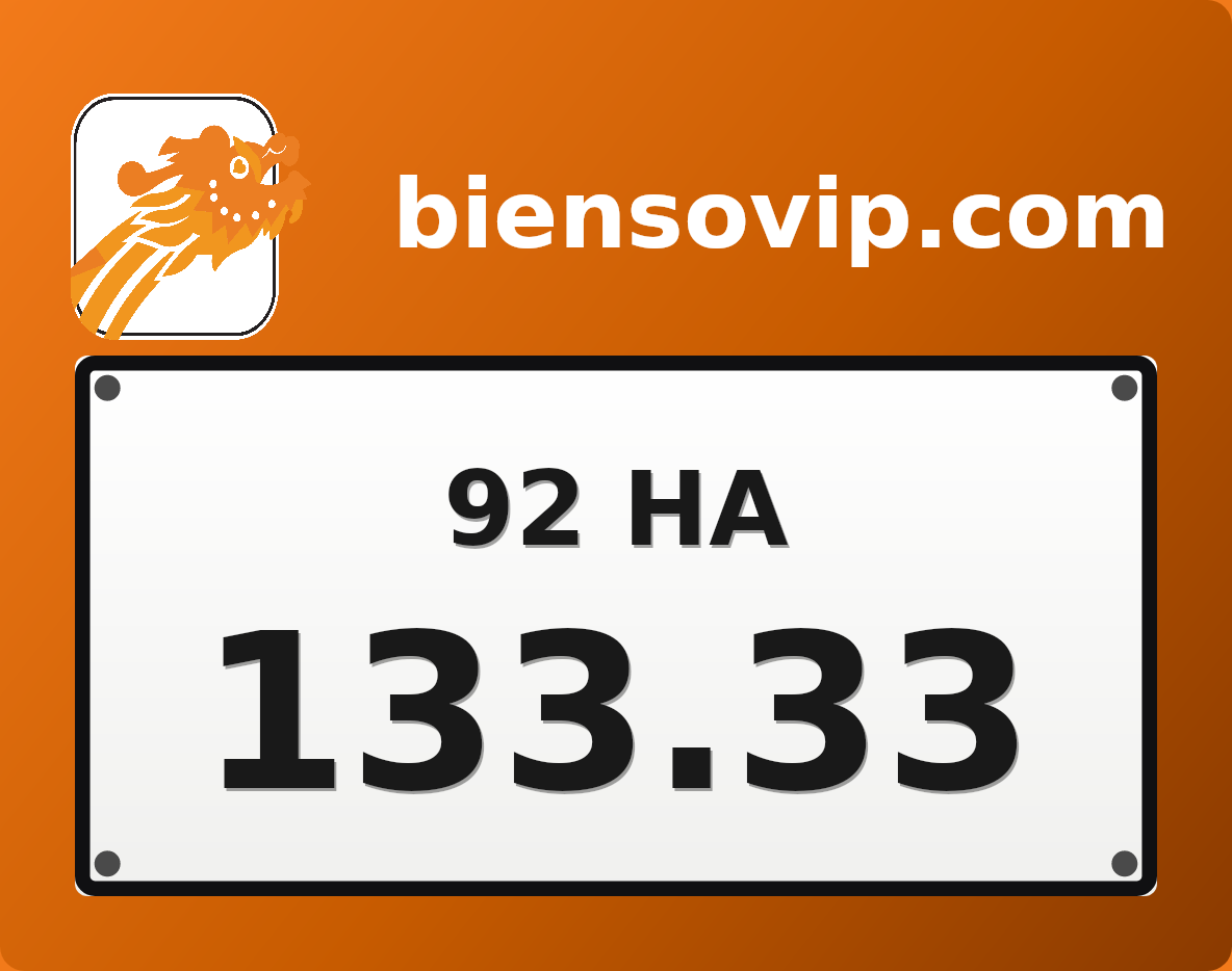 Biển số 92HA-133.33