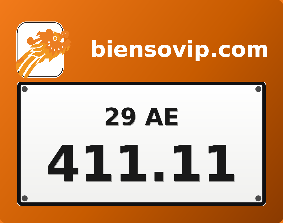 Biển số 29AE-411.11