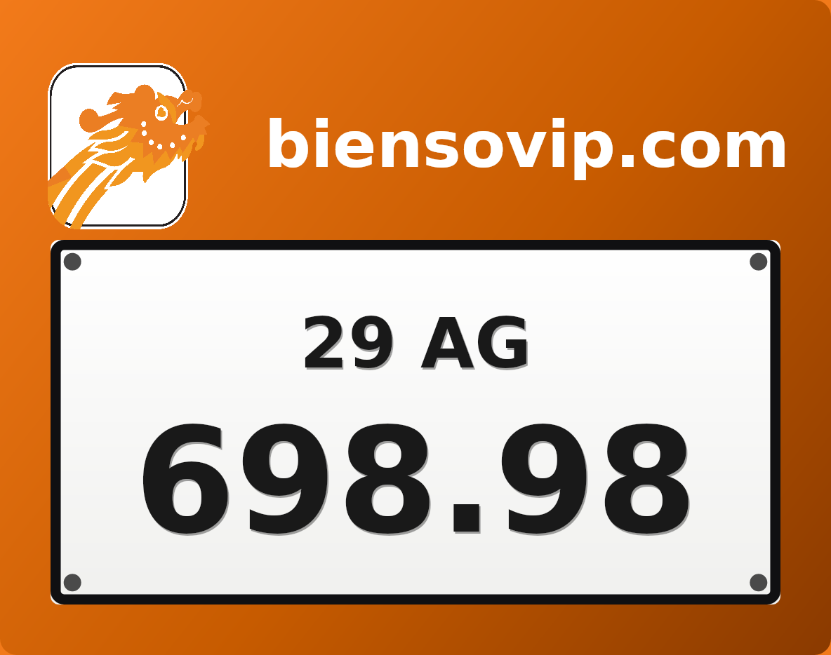 Biển số 29AG-698.98