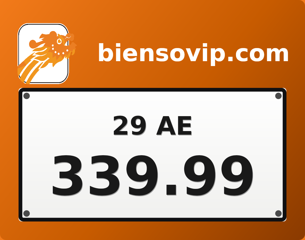Biển số 29AE-339.99