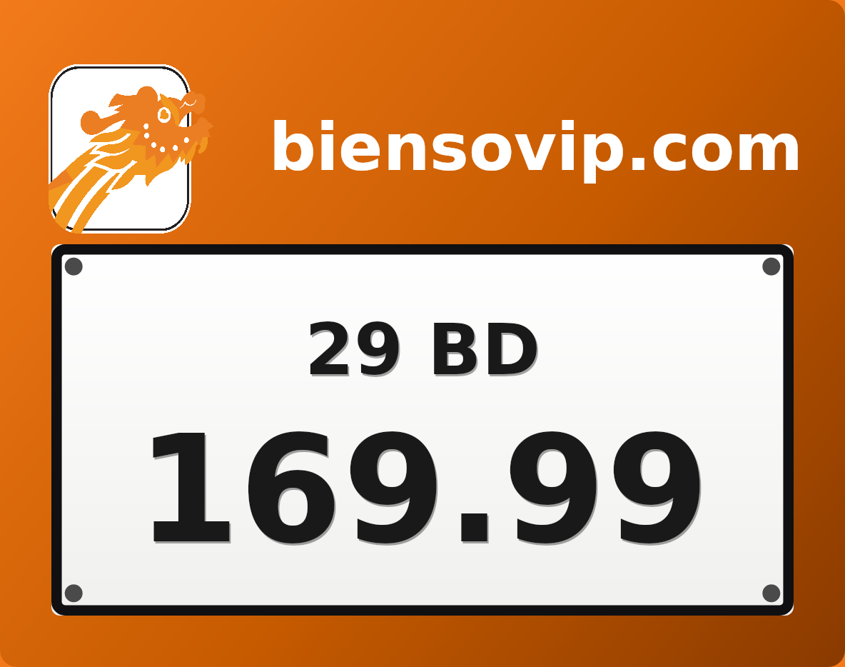 Biển số 29BD-169.99