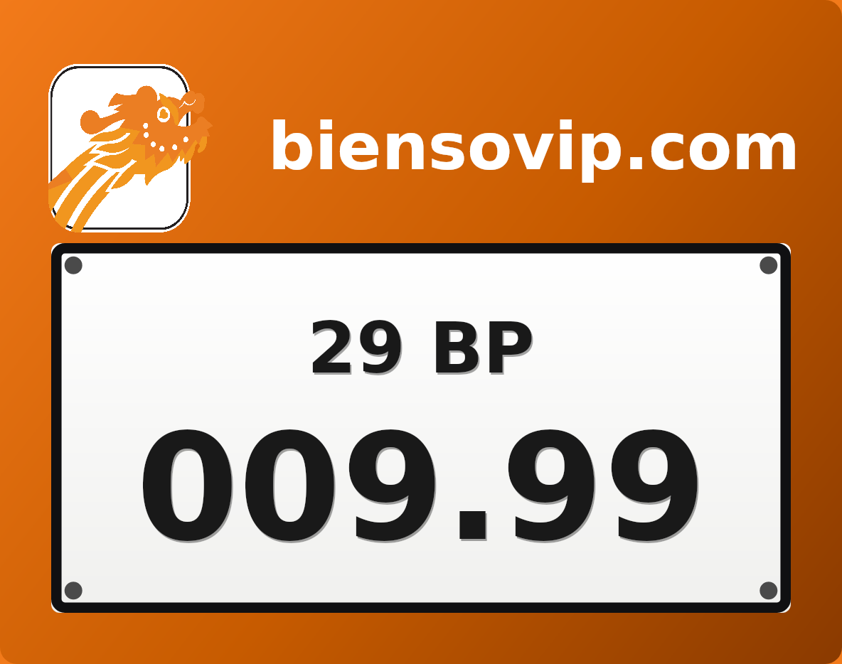 Biển số 29BP-009.99