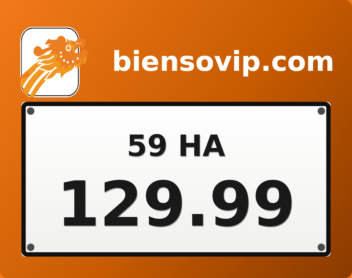 Biển số 59HA-129.99