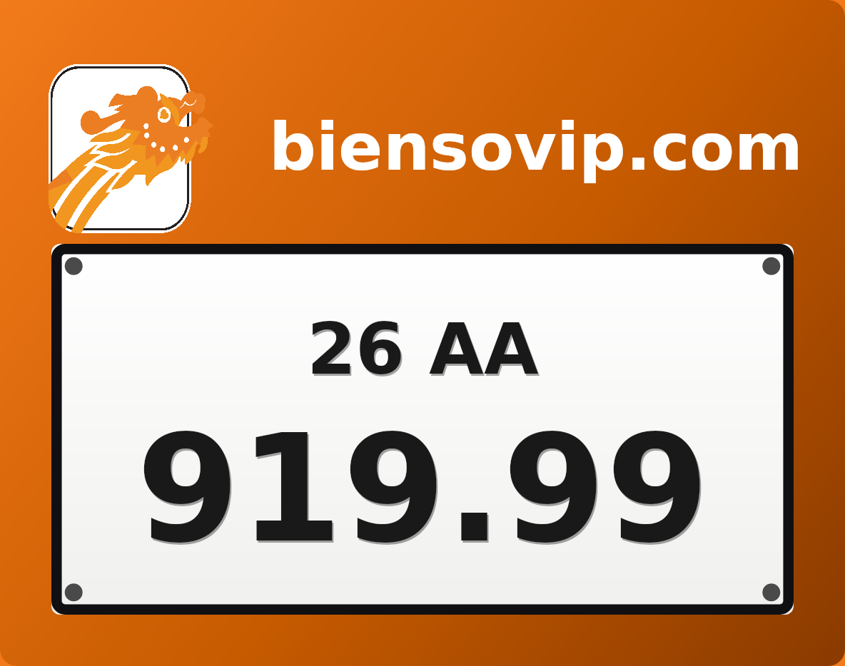 Biển số 26AA-919.99