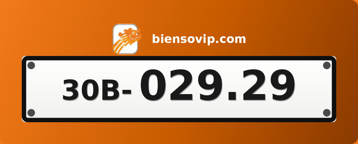 Biển số 30B-029.29