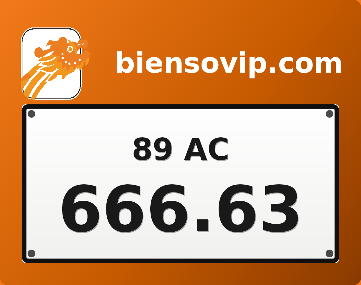 Biển số 89AC-666.63