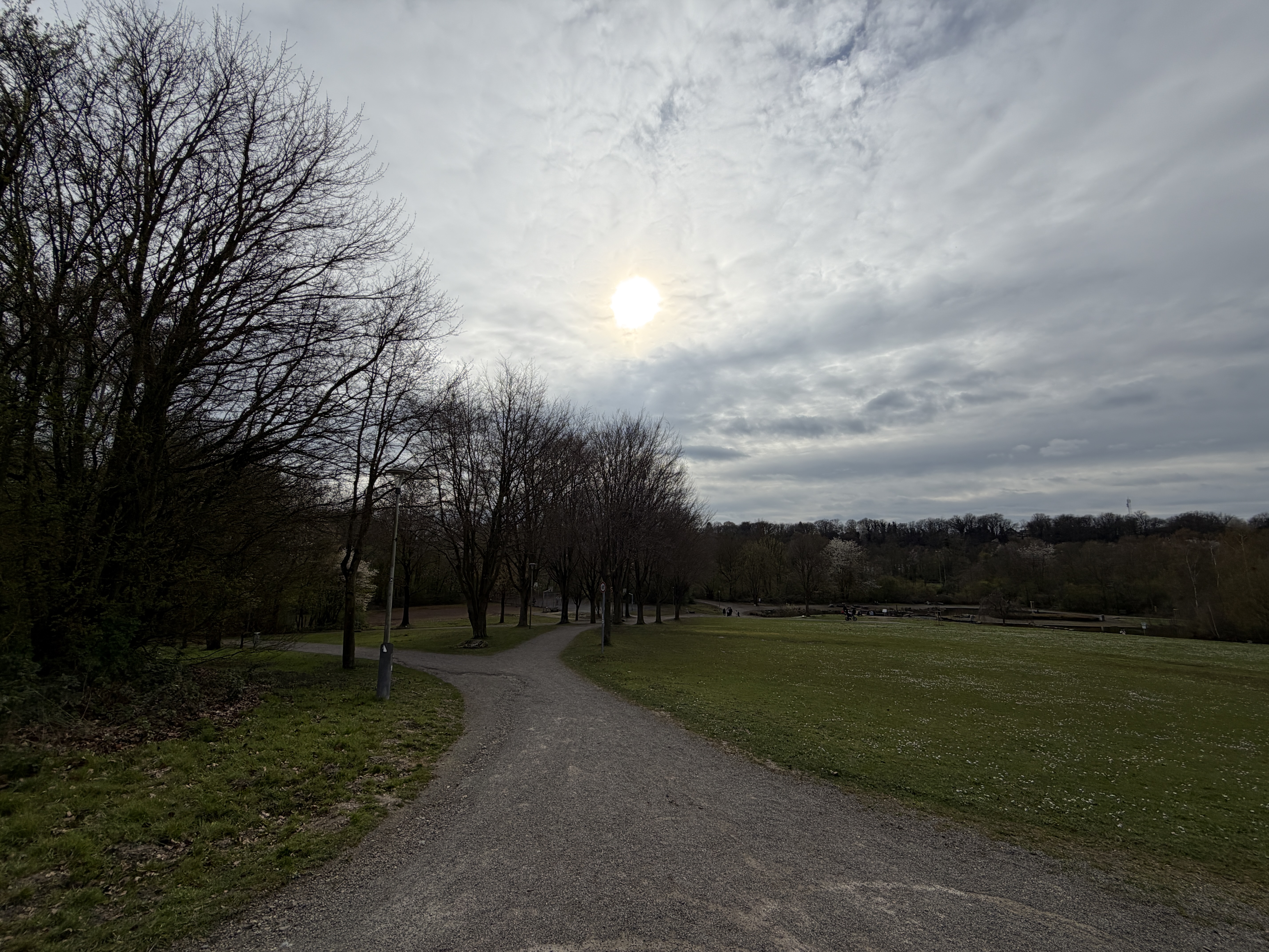 Park