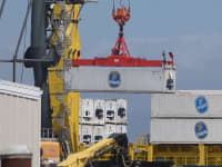 Jak jsme proškolili bananářskou hvězdu