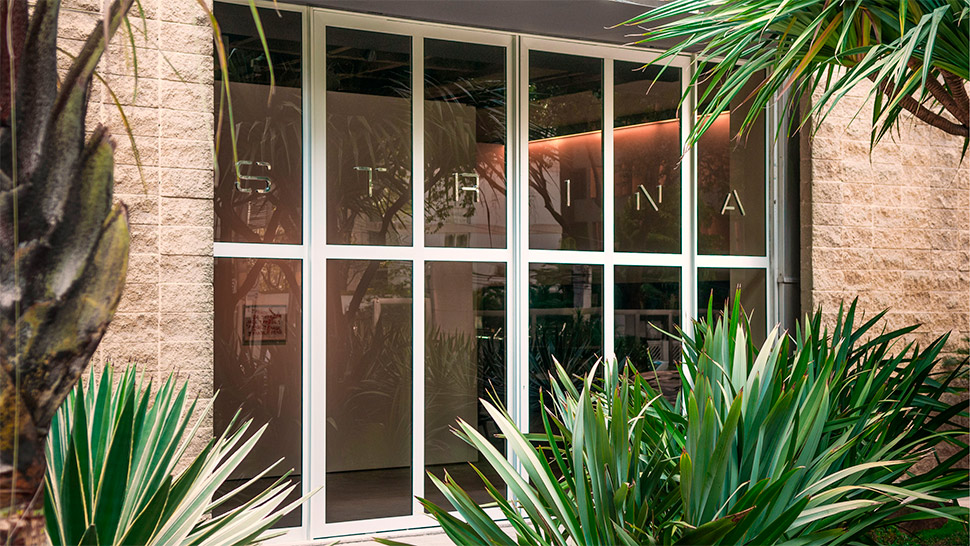 Galeria Luisa Strina
