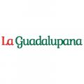 La Guadalupana #2