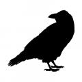 The Raven Eatery (Largo) Logo