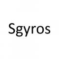 SGyros Logo