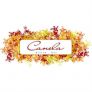 Canela Bistro & Wine Bar Logo