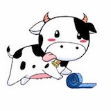 Milkroll Rolled Ice Cream